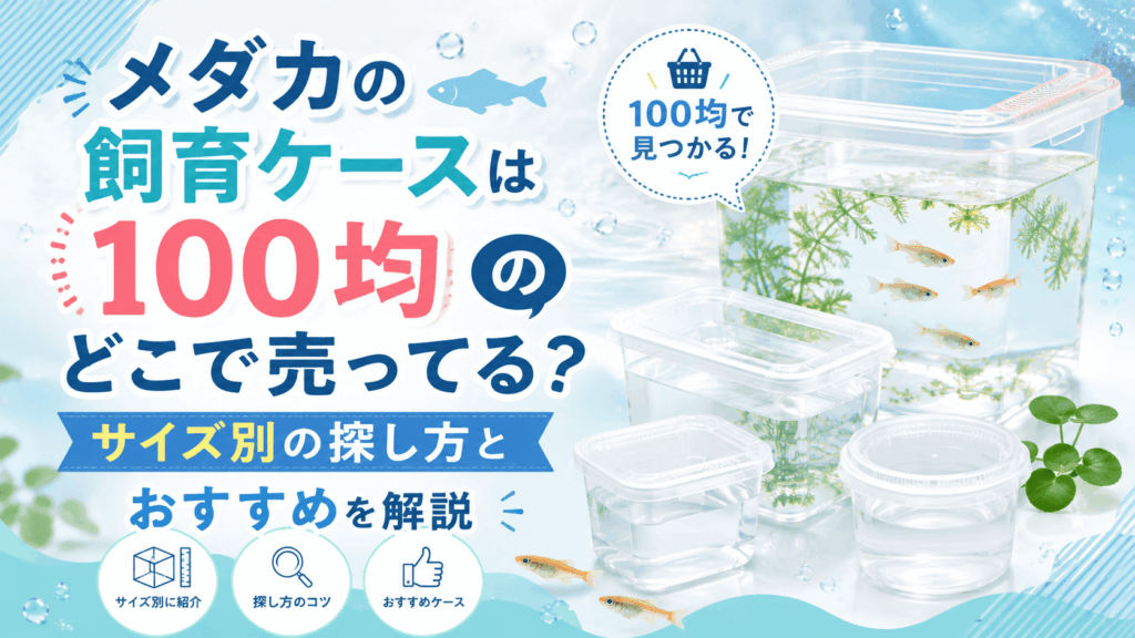 メダカの飼育ケースは100均のどこで売ってるのか、サイズ別の探し方とおすすめケースを紹介するアイキャッチ画像