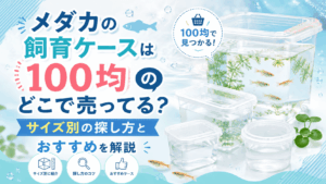 メダカの飼育ケースは100均のどこで売ってるのか、サイズ別の探し方とおすすめケースを紹介するアイキャッチ画像