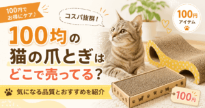100均の猫の爪とぎはどこで売ってるのか、売り場や品質、おすすめ商品を紹介する記事のアイキャッチ画像