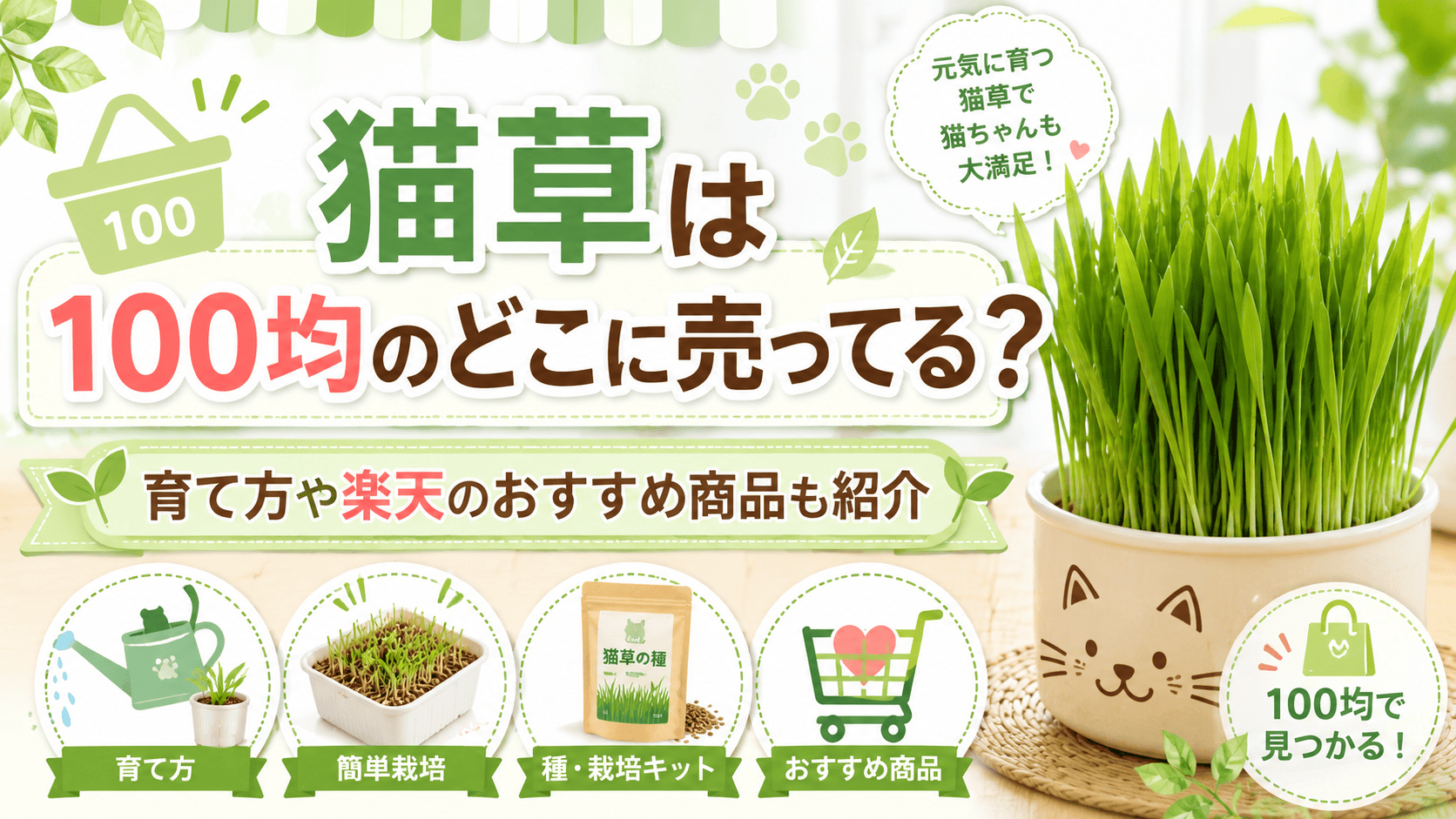 猫草は100均のどこに売ってるのか、育て方や楽天のおすすめ商品を紹介する記事のアイキャッチ画像