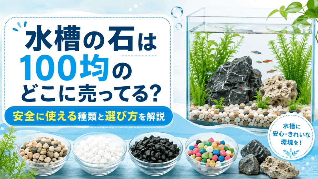 100均で買える水槽の石の売り場や安全に使える種類、選び方を解説する記事のアイキャッチ画像
