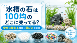 100均で買える水槽の石の売り場や安全に使える種類、選び方を解説する記事のアイキャッチ画像