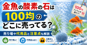 金魚の酸素の石は100均のどこに売ってるのか、売り場や代用品と注意点を紹介