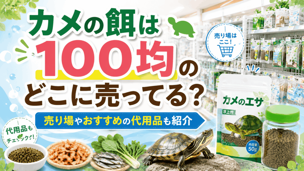 カメの餌は100均のどこに売ってるか、売り場やおすすめの代用品を紹介するアイキャッチ画像