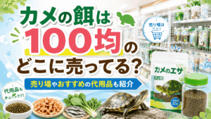カメの餌は100均のどこに売ってるか、売り場やおすすめの代用品を紹介するアイキャッチ画像