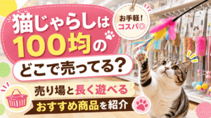 猫じゃらしは100均のどこで売ってるか、売り場や長く遊べるおすすめ商品を紹介するアイキャッチ画像